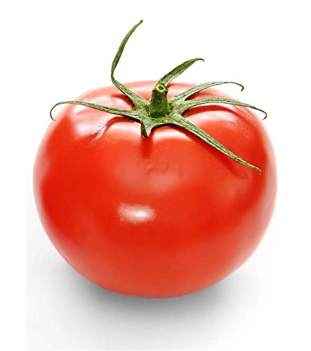 MaliaGarden Red Large Tomato Hybrid Vegetable Seeds - Pack Of 100 Seeds (B07JYV25BL) Amazon Price History, Amazon Price Tracker