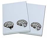 Brain Note Pad-memo Pad-notebook-100sheets-2pc in One Package