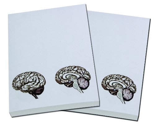Brain Note Pad-memo Pad-notebook-100sheets-2pc in One Package