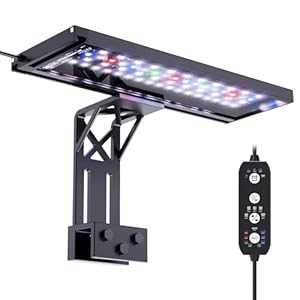 Clip On Aquarium Light for Plants-24/7 Cycle Fish Tank Light with Timer, Full Spectrum+7 Colors Mode, Auto On/Off, Adjustable Brightness and Height, 20W (12inch for 12-20 inch Tank)