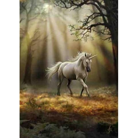 Anne Stokes Unicorn Blank Greeting Card Cover