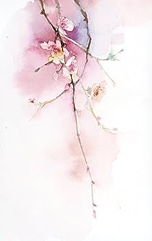 Paperback ??? [Chinese] Book