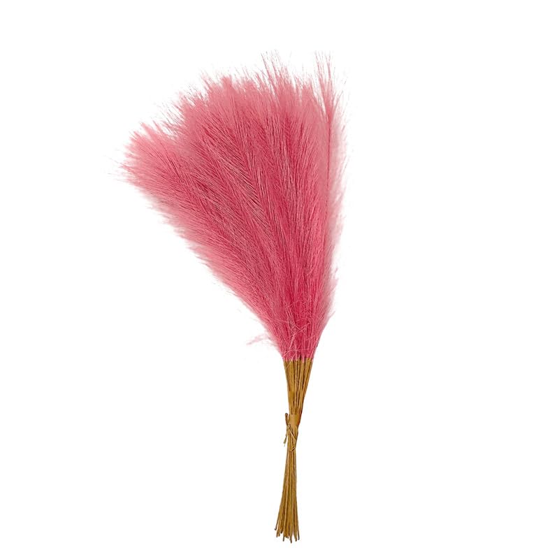 Pampas Grass Large 55CM 10PCS Decoración Artificial miniatura 1