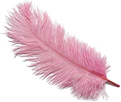 wanjin Ostrich Feathers 8-10inch(20-25cm) for Home Wedding Decoration DIY Craft Feathers per pack of 10 pcs(Pink)