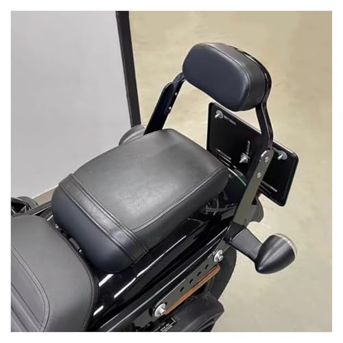 Dossier Passager Noir Brillant Finition Premium pour Electra Glide - 2