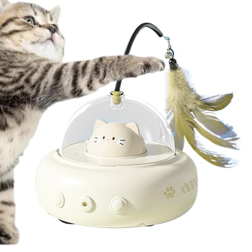 Jeu d'intérieur pour chats interactif et rechargeable pour exercice