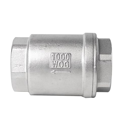 Pompe à eau sans désamorçage grâce au clapet anti-retour vertical inox