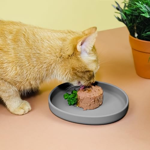 ne&no Futternapf für Katzen [nala Collection] - Flache Futterschale | Breiter Silikonnapf | Fressnapf | Silikon Napf | Katzenfutter Teller