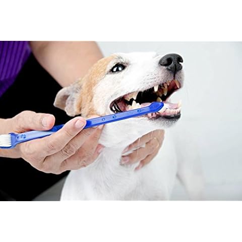 Duke's Pet Products Two-Piece Dog Toothbrush Set: Double Sided Canine Dental Hygiene Brushes with Long 8 1/2" Handles and Super Soft Bristles, Blue Cover