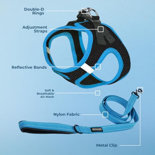 Image of Voyager Step-in Air All Weather Mesh Harness & Reflective Dog 5 ft Leash Combo, Neoprene H&le, for Small, Medium, Large Breed Puppies by Best Pet Supplies - Leash Harness (Black /Blue Trim), XL