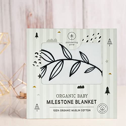 Organic Baby Monthly Milestone Blanket Boy Or Girl - Months Blanket With Wood Frame And Newborn Announcement Disc - Growth Chart Milestone Blanket Neutral, 1-12 Month Milestones, 47”X47” #TOP6