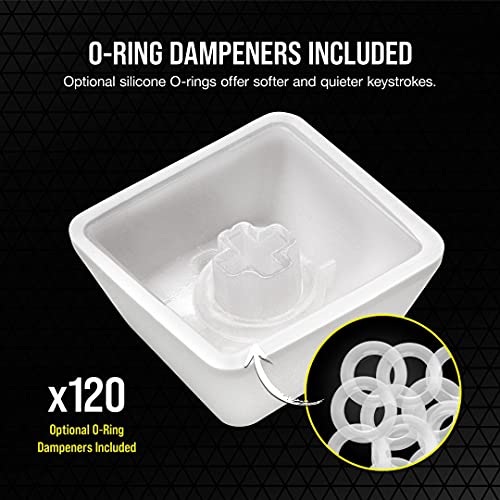 Image of Corsair PBT Double-Shot PRO Keycap Mod Kit - Double-Shot PBT Keycaps - Arctic White - Standard Bottom Row - Textured Surface - 1.5mm-Thick Walls - O-Ring Dampeners (CH-9911040-NA)