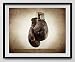 Vintage Boxing Gloves on Vintage Background Fine Art Photography Print, Sports Decor, Boxing decor, Man Cave art, Vintage Sports Nursery Art,Boxing Gloves, Nursery decor, Kids Room Wall Art.
