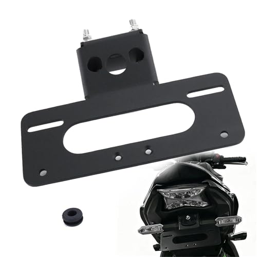 Support plaque arrière Kawasaki Z650 finition premium pour Ninja 650