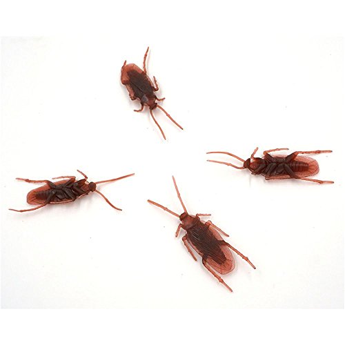 Preisvergleich Produktbild maxgoods 20 STK Küchenschabe Prank Trick Spielzeug