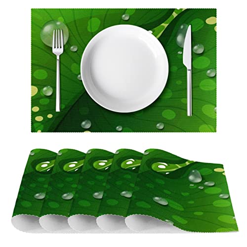 Sets de table gouttes d'eau sur feuilles vertes antidérapants 30x46 cm lot de 6