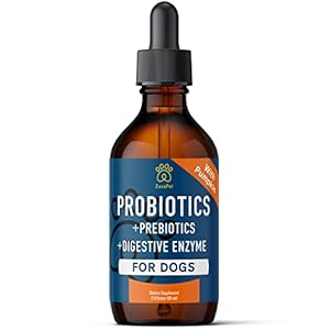 Probiotics for dogs  dog probiotics for diarrhea  natural digestive enzymes for upset stomach relief + gas constipation health  itch relief  prebiotic pet supplies  120 servings   cucciolini doodles