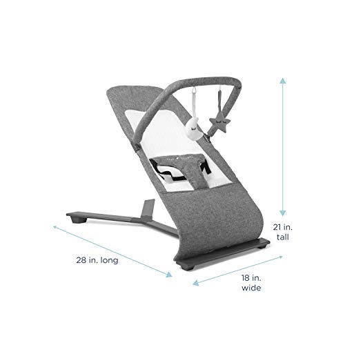 Baby Delight Go With Me Alpine Deluxe Portable Bouncer, Charcoal Tweed