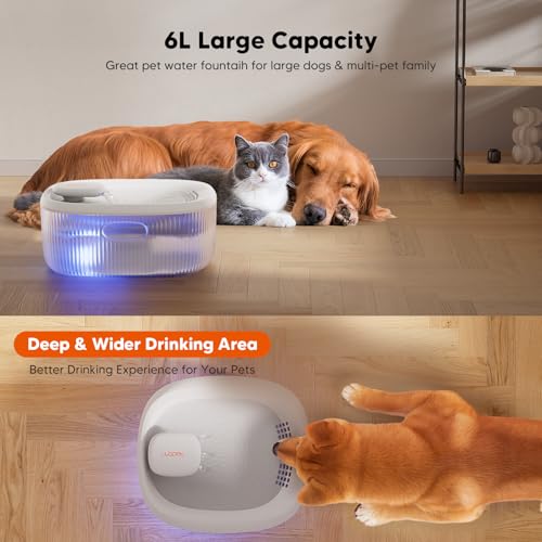 Image of WOPET Dog Water Fountain for Large Dogs, 6L /205oz /1.7Gal Automatic Dog and Cat Water Fountain, Pet Water Dispenser with 6 Filters, Ultra-Quiet Pump, Great for Large Dogs Cats and Multi-Pet Home