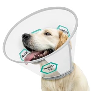 Supet Erholungshalskrause Hundekragen