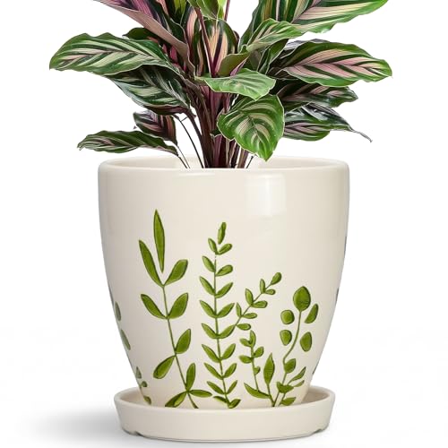 MPotTo Ceramic Pots for Plants - 6 Inch Plant Pot for Indoor Outdoor Plants, Ceramic Planter with Drainage Hole and Saucer, Decorative Round Planter, Gifts for Plant Lovers, Home Room Decor, White