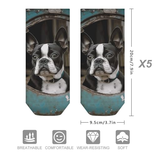 5-Pack Ankle Socks for Adult, Boston Terrier Low Cut Sock, Breathable Soft Casual Athletic Socks2