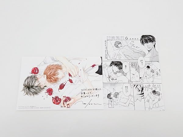 Amazon.co.jp: 未読 初版「花鳥風月6巻」志水ゆき 出版社ペーパー