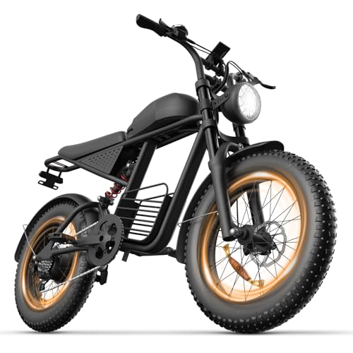 FLIWIN 1000W Commuter Off-Road Ebike