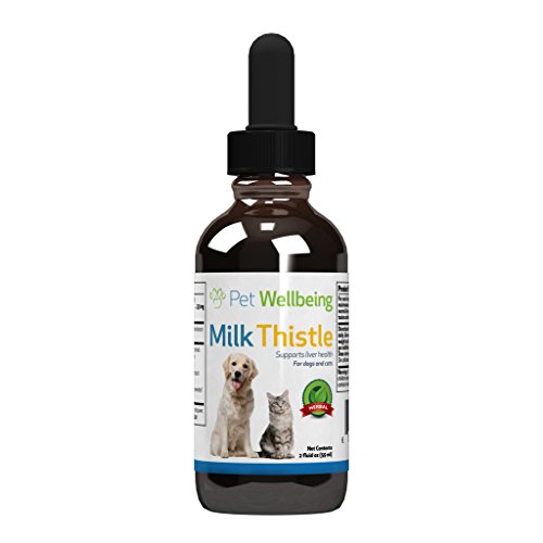 Pet Wellbeing - Milk Thistle for Cats - Natural Support for Feline Liver