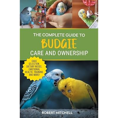 The Complete Guide to Budgie Care and Ownership
