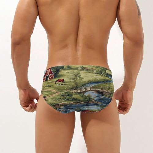 Farmhouse Bridge Horse Scene Novelty Men's Brief Swimwear Pants Swimming Trunks Beach Shorts Underwear2