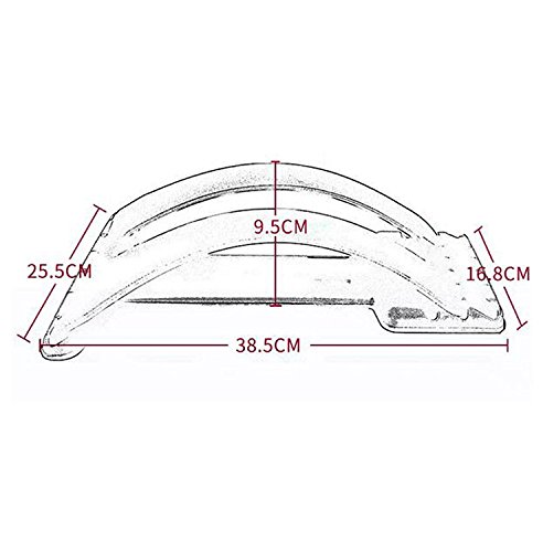 Cintura per la cura spinale Embarizzazione del