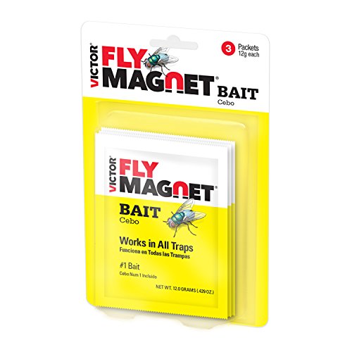 Our Best bait for fly trap Top 7 Model Reveled! Maine Innkeepers