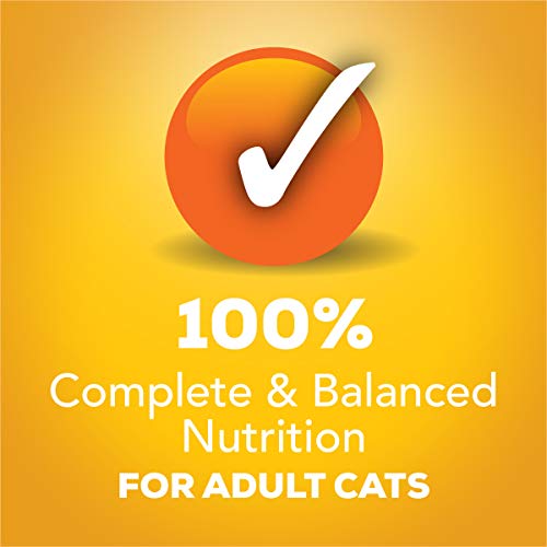 Purina Friskies Gravy Wet Cat Food Variety Pack, Tasty Treasures Prime Filets - (24) 5.5 Oz. Cans #TOP4