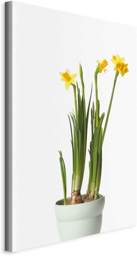 artgeist Acoustic Canvas Wall Art Print Yellow Daffodil 24x35 in - 1pcs Picture with Acoustic Foam Sound Print Artwork Room Acoustics Soundproofing b-C-0294-b-a