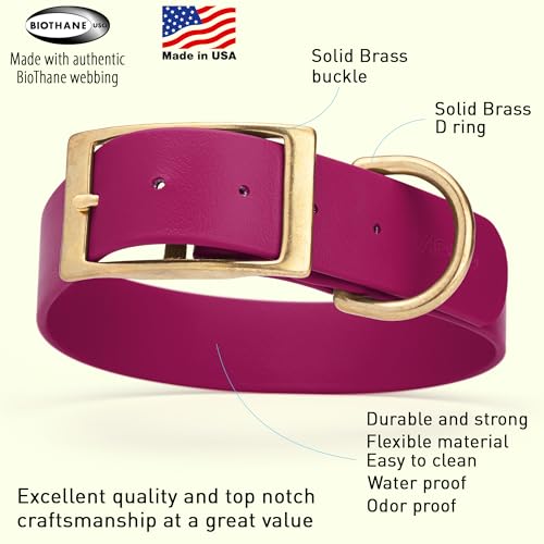 Image of Viper Biothane Heavy Duty Waterproof Dog Collar Strong Coated Nylon Webbing w /Solid Brass Hardware Odor-Proof Easy to Clean High Performance Fits Small Medium or Large Dogs, Magenta Pink