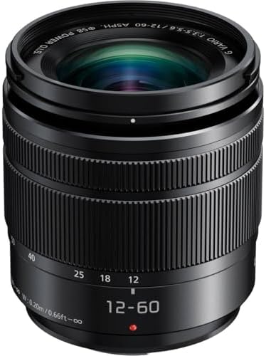 Amazon.com : Panasonic Lumix G Vario 14-140mm f/3.5-5.6 Lens 
