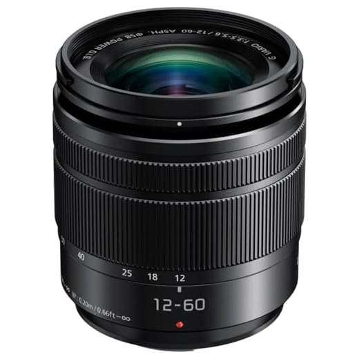 Panasonic LUMIX G 12-60mm Mirrorless Lens