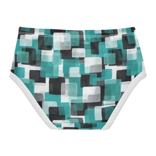 Joisal Toddlers Underwear Floral 2t Cotton Cute Panties Girl Cartoon Underpants Briefs Cool Retro Teal Gray2