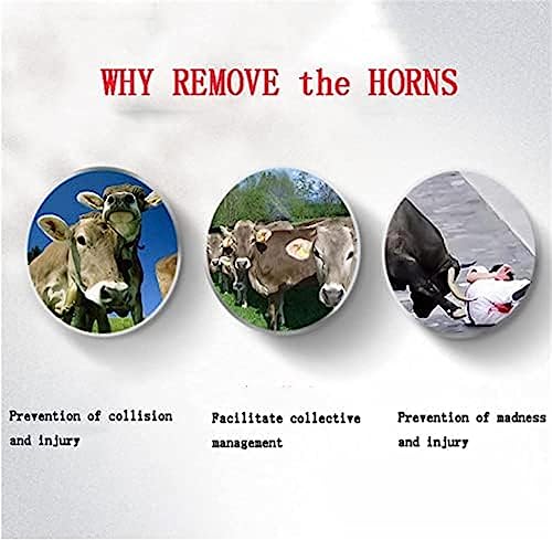 Descornador Elétrico, Descornador De Bezerro, Cabeça De Cobre De Ferro De Solda Xm5273, Descorna Sem