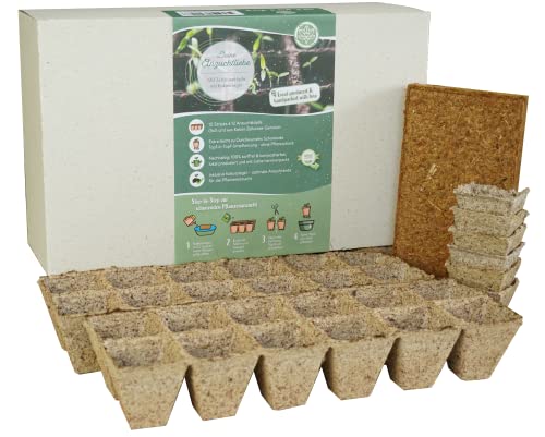 Torffreie & abbaubare Anzuchttöpfe eckig - 120x hochwertige Pflanztöpfe aus 100% Kokos- Zellulosefasern inkl. Kokos Anzuchterde mit Nährstoffen - Nachhaltige Anzucht Töpfe - kein Pikieren mehr nötig Cover