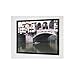 Imager Black Fixed Frame Projection Screen Viewing Area: 90" H x 120" W