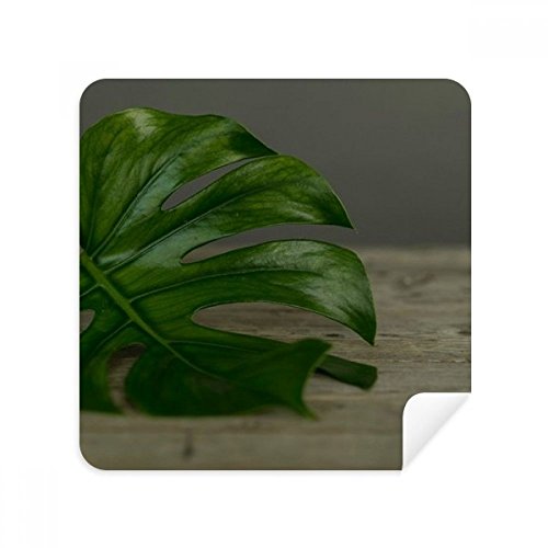 Chiffon de nettoyage lunettes feuille plante nature en suède pour écran 2pcs