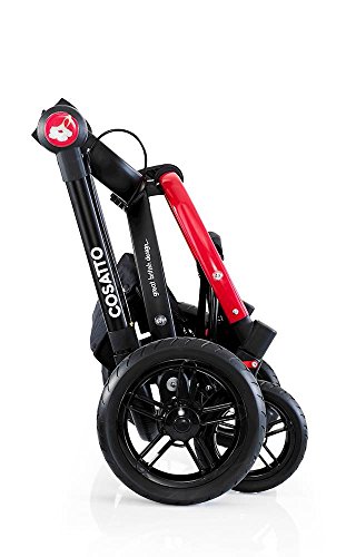 Cosatto Ooba Sistema da viaggio papavero ()