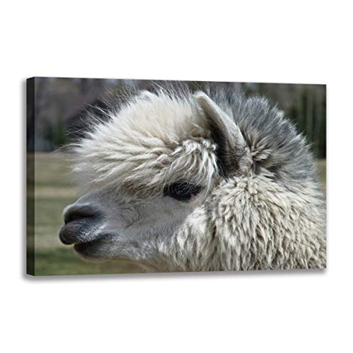 Tableau alpaga toile décorative avec cadre 40x60 cm pour habiller un mur vide