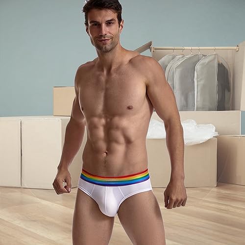 Men's Underwear Briefs Men's Cotton Low Rise Briefs Soft Breathable Sexy Underwear