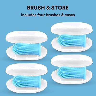 Jasper Blue 2 Pack + Blue 4 Pack Bundle