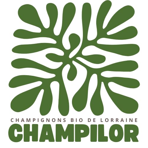 Kit de Culture de Champignons Pleurotes Gris Champibox™ (Pleurotus ostreatus) - Pleurotes Made in France - Gourmand et Éducatif - Idée Cadeau Originale et Naturelle pour Tous - Facile à Utiliser