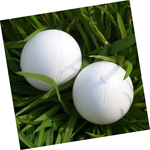 Bcoath 90 Pcs Injection Eggs Nest Parrot Induced Cockatiel Toys Supplies Stop Prop Xmm Play Photo Laying Lorikeet For Food White Racing Ringneck Fake Dove Decorative Water Simulated #TOP6