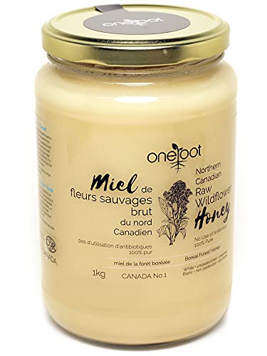 ONEROOT Canadian Raw Wildflower Honey (1kg)
